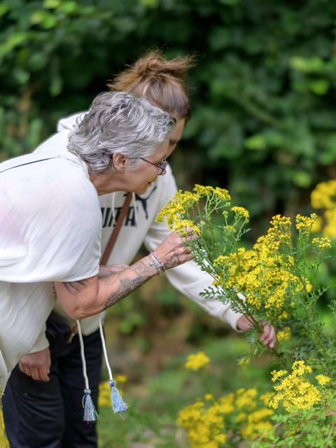 Petra ruikt aan gele bloemen in de tuin