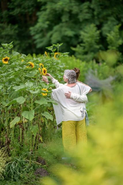 Petra en haar dochter lopen arm in arm langs de zonnebloemen